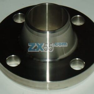0.50" ASA 150 PSI Raised Face Weld Neck S10S F316L